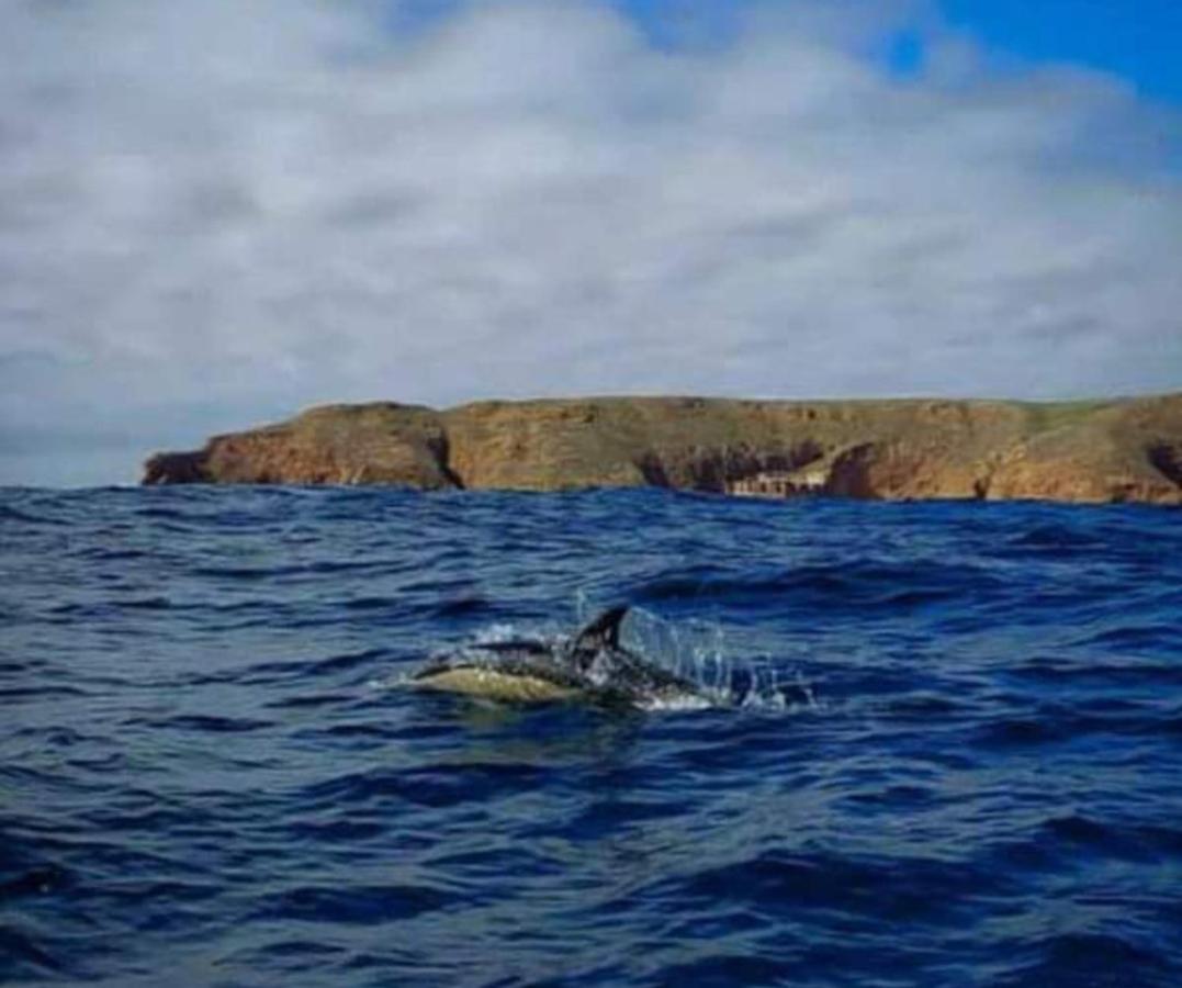Apartmán Casa Do Portao Azul - Dourada Atouguia Da Baleia Exteriér fotografie